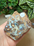 Raw Boulder Opal from Quilpie