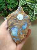 Raw Boulder Opal from Quilpie