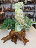 Green Jade Cockatoo on custom stand