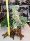 Green Jade Cockatoo on custom stand