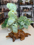 Green Jade Cockatoo on custom stand