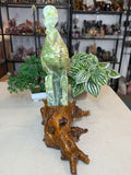 Green Jade Cockatoo on custom stand
