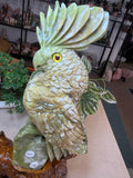 Green Jade Cockatoo on custom stand
