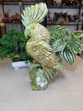 Green Jade Cockatoo on custom stand