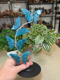 Blue Apatite Butterfly Sphere Stand
