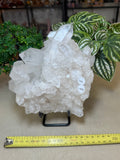 Quartz Cluster 1.56kgs