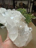 Quartz Cluster 1.56kgs