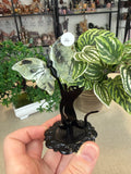 Prehnite Butterfly with Cat
