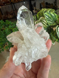 Clear Quartz Clusters