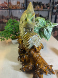 Green Jade Chameleon