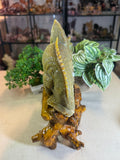 Green Jade Chameleon