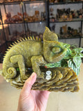 Green Jade Chameleon