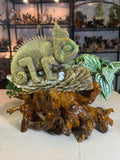 Green Jade Chameleon