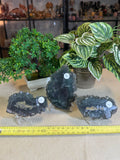 Fluorite with Pyrite Slices