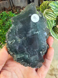 Fluorite with Pyrite Slices