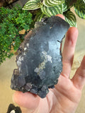 Fluorite with Pyrite Slices