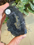 Fluorite with Pyrite Slices
