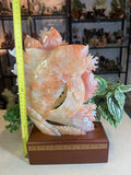 Jade Koi Fish