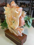 Jade Koi Fish