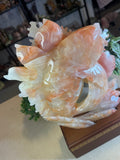 Jade Koi Fish
