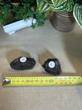 Elite Shungite Pieces