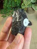 Elite Shungite Pieces