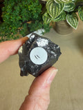 Elite Shungite Pieces