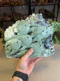 Green Jade Fish
