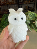 Marble Owl