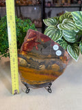 Marra Mamba Tiger Eye Slice