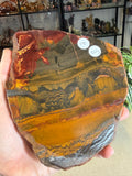 Marra Mamba Tiger Eye Slice