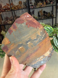 Marra Mamba Tiger Eye Slice