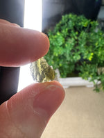 Moldavite Pieces