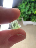 Moldavite Pieces