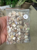 Pearl Shell Chips