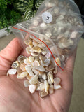 Pearl Shell Chips