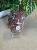 Vanadinite with Black Barite Roses