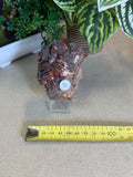 Vanadinite with Black Barite Roses