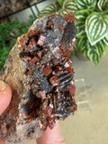 Vanadinite with Black Barite Roses
