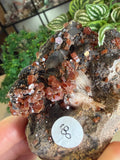 Vanadinite with Black Barite Roses