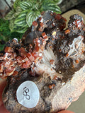 Vanadinite with Black Barite Roses