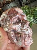 Mexican Crazy Lace Agate Skull