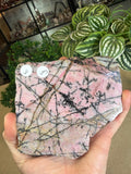 Rhodonite Slice from Queensland