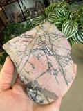 Rhodonite Slice from Queensland