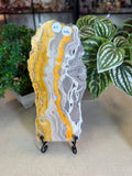 Bumble Bee Jasper Slice