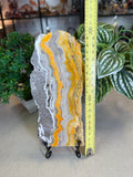 Bumble Bee Jasper Slice