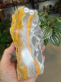 Bumble Bee Jasper Slice