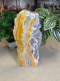 Bumble Bee Jasper Slice