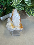 Quartz From Harts Ranges Area 51