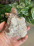 Quartz From Harts Ranges Area 51